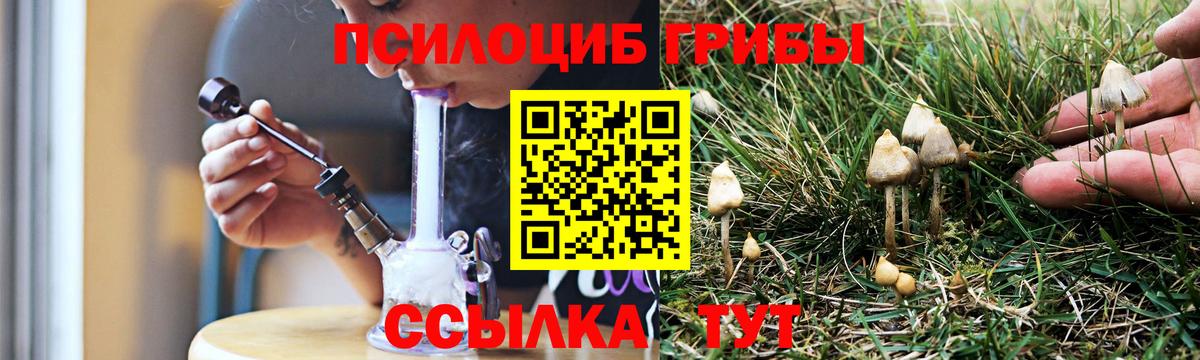 Галлюциногенные грибы GOLDEN TEACHER  Вход с VPN  Кириши 